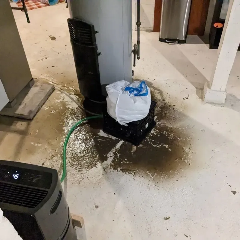 Sewage Backup Cleanup Service in Villalba Municipio, PR